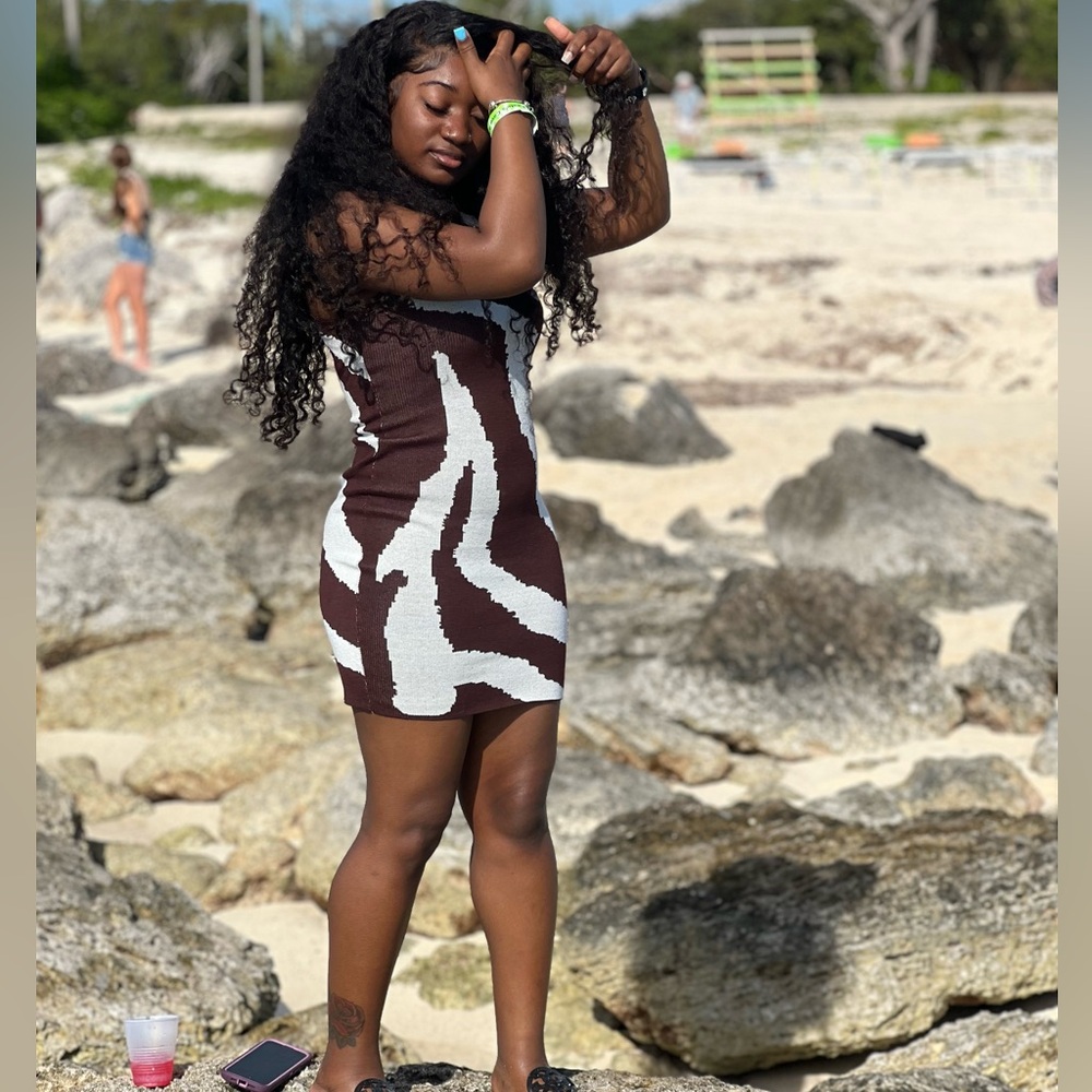 Brown and white zebra print sweater dress